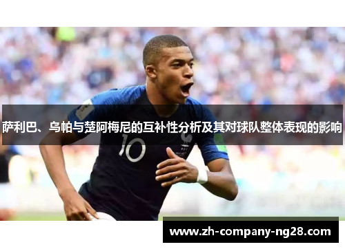 萨利巴、乌帕与楚阿梅尼的互补性分析及其对球队整体表现的影响