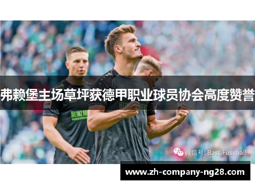 弗赖堡主场草坪获德甲职业球员协会高度赞誉