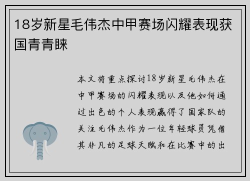 18岁新星毛伟杰中甲赛场闪耀表现获国青青睐