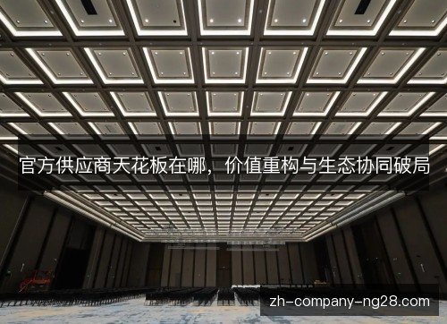 官方供应商天花板在哪，价值重构与生态协同破局